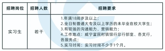 2025年威寧富民村鎮(zhèn)銀行暑期實(shí)習(xí)生招聘啟事